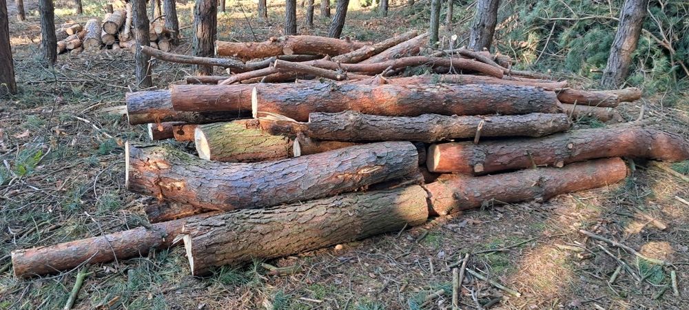 Sprzedam Drzewo Sosnowe Opałowe