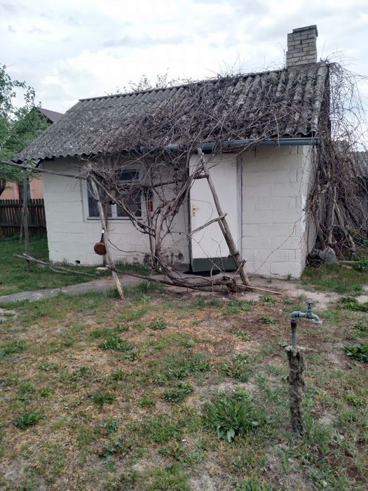 Dom z siedliskiem Brzuza
