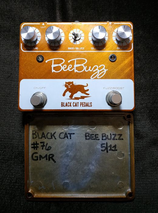 Black Cat Bee Buzz