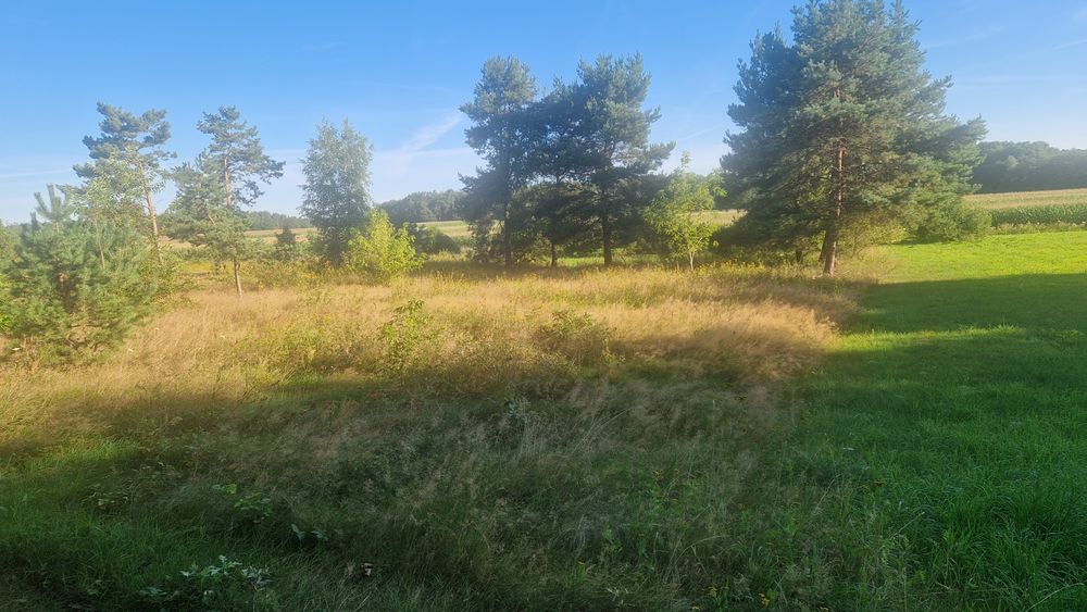Działka 1500m2 Wartosław
