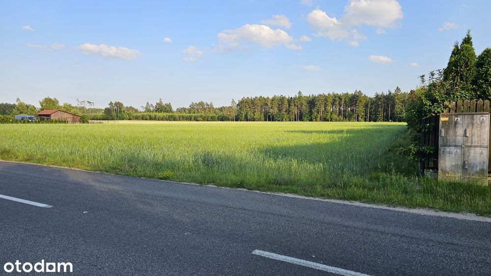 Działki Bory Tucholskie przy lesie, blisko jezior z warunkami zabudowy