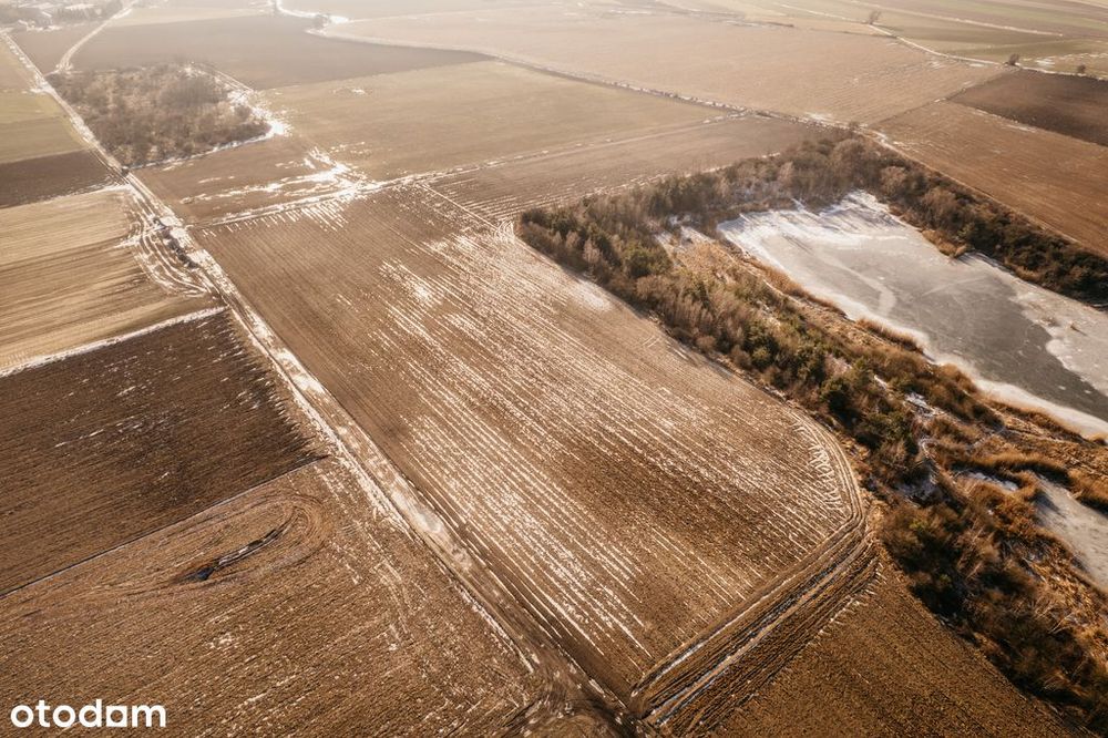Na sprzedaż grunty rolne–Lenartowice gmina Pleszew