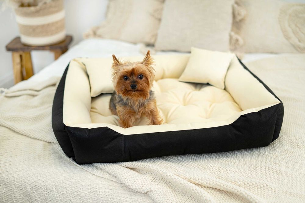 Solidne legowisko kanapa dla psa Yorka kota 75x65 NOWE