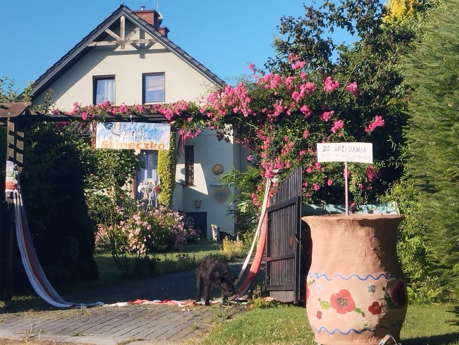 Amfora na deszczówkę