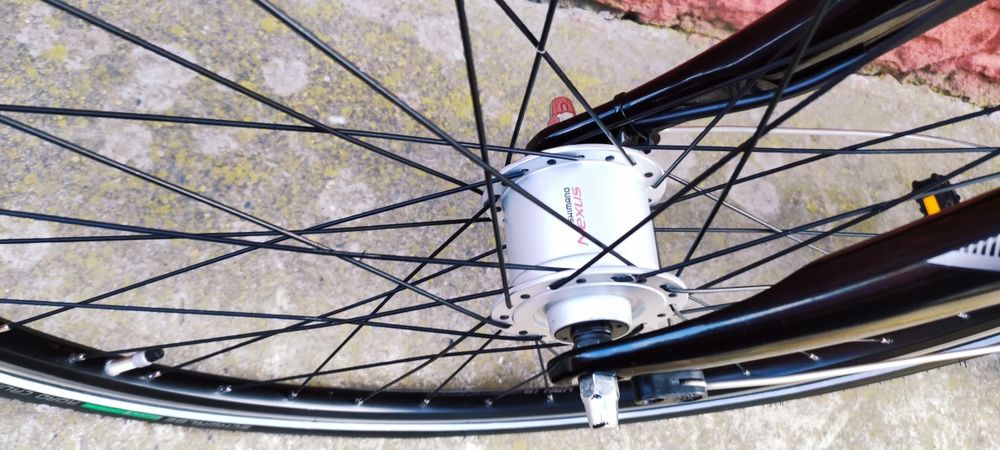 Pegasus с Германий