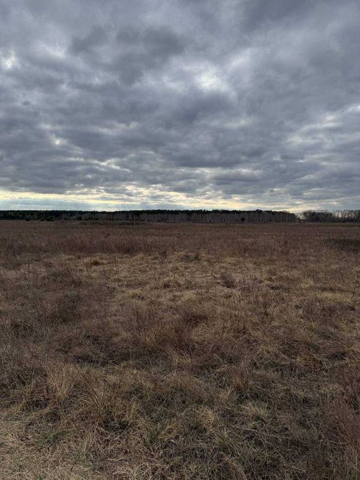 Земельна ділянка в с. Количівка