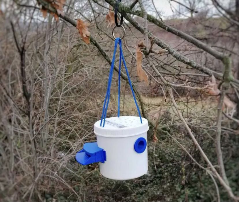 Arpas, sistemas eletricos,cavalo de troia,rainhas Bruckfast,ibericos