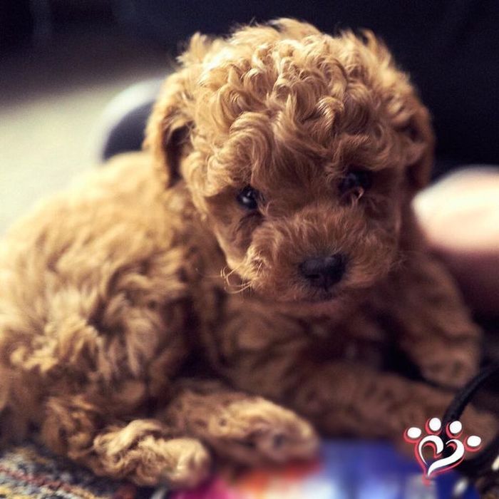 Когда тишина становится уютной