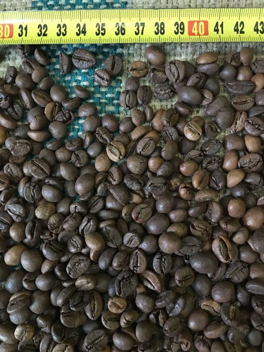 Кава / Кофе в зернах В'єтнам WP 18 scr.