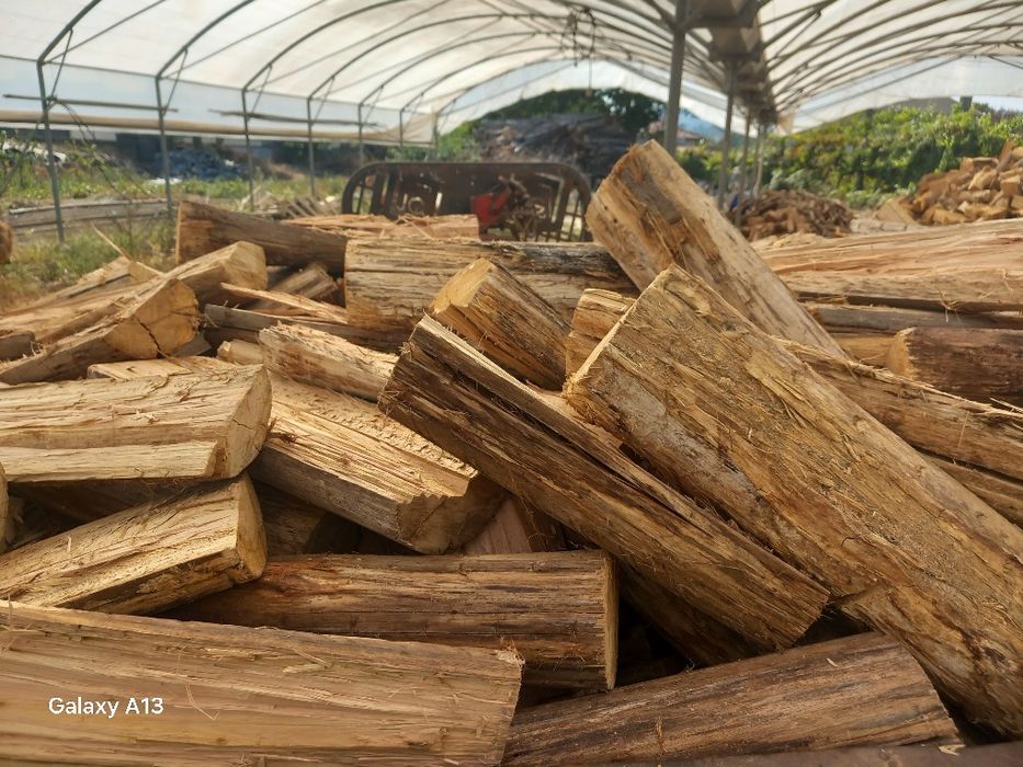 Lenha seca entro vila verde braga amares