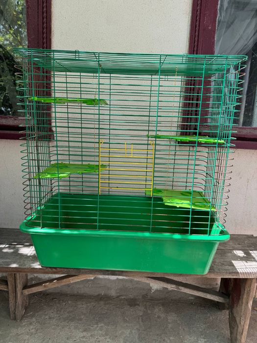 Кролики с клетками