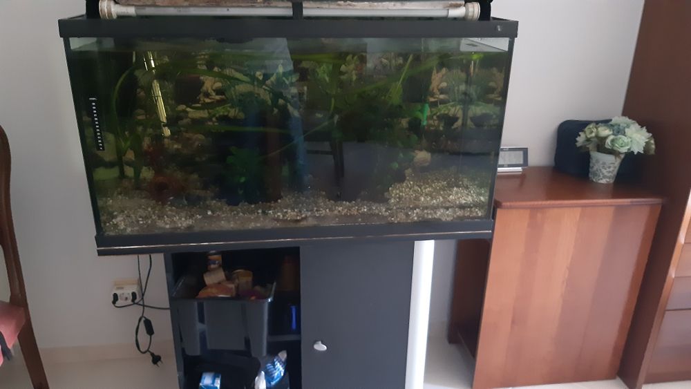 Aquário  montado