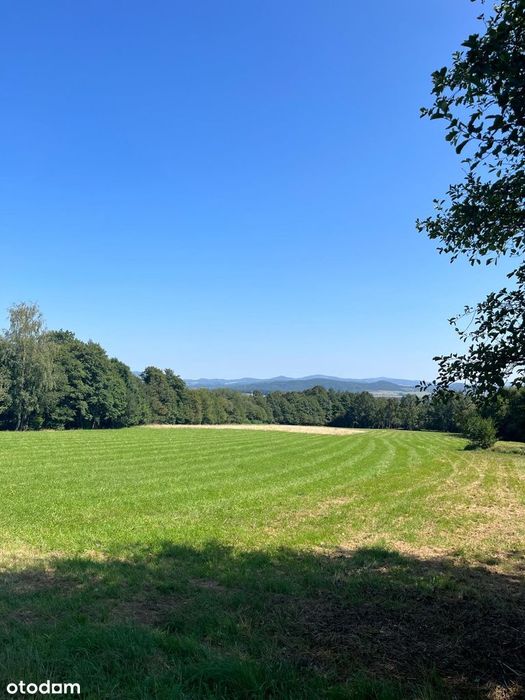 Działka budowlana 3056 m²  w Sudetach - Widok 4