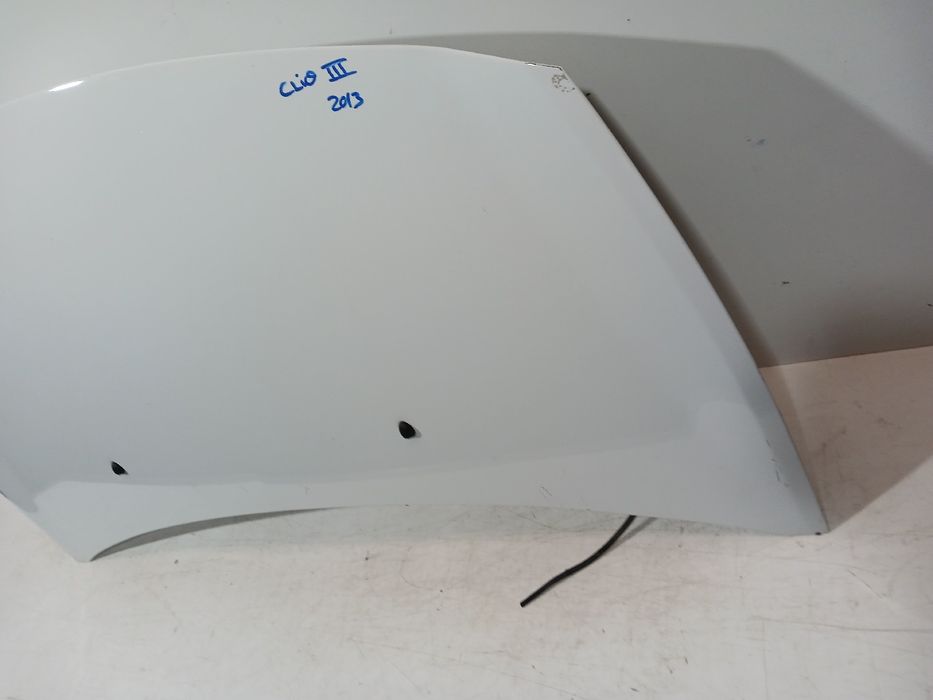 Capot RENAULT Clio III (BR0/1, CR0/1)