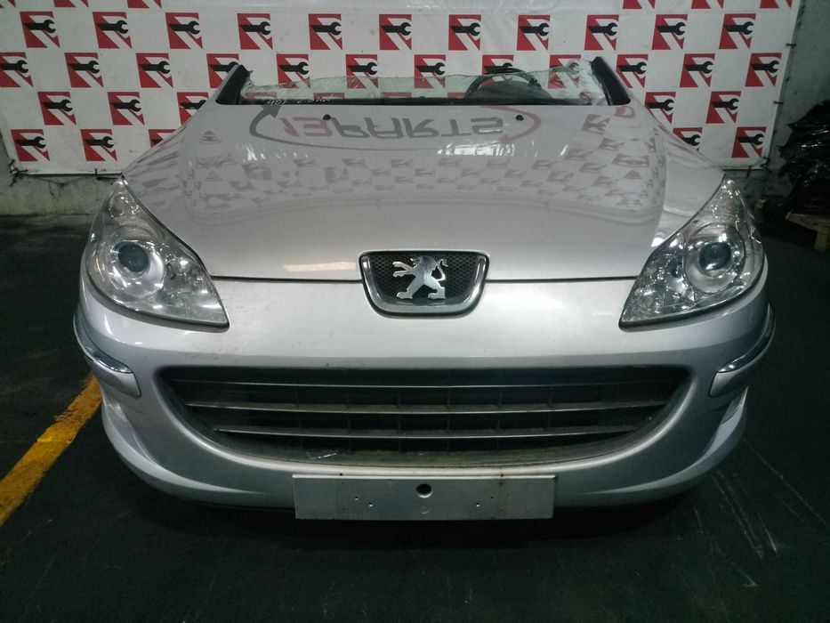 Frente Completa Peugeot 407 2.0 HDi 2007 #F07
