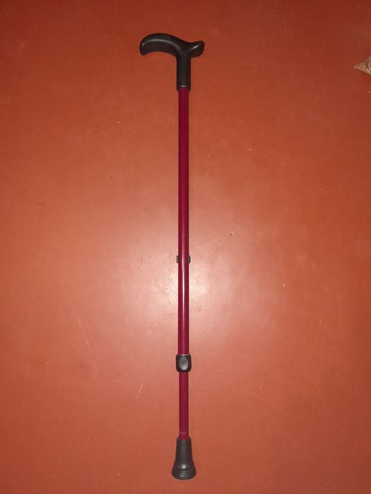 Тростина - милиця для дорослих