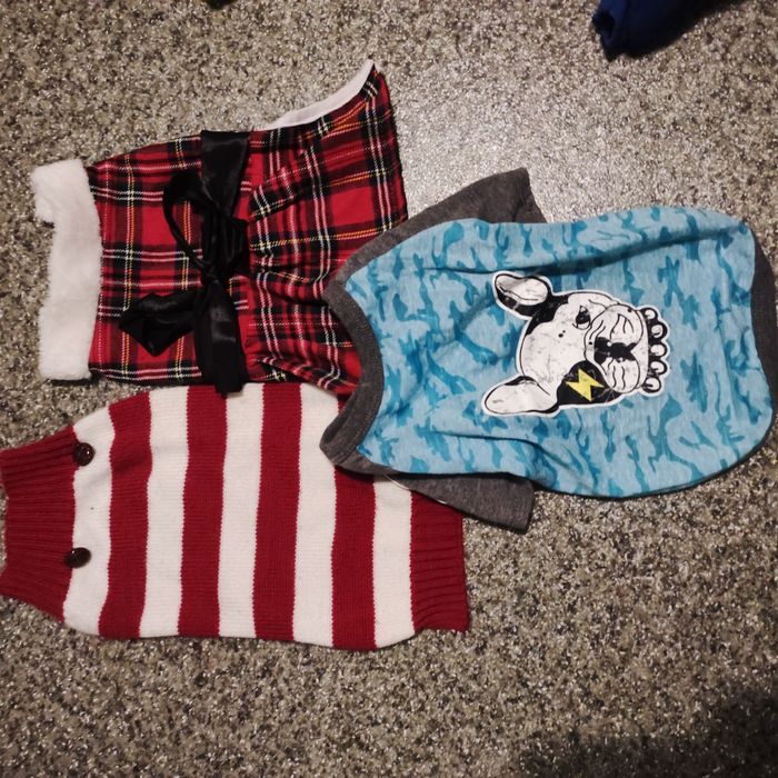 Одяг для собак.попона