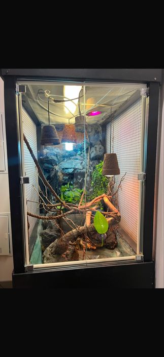 Terrarium dla kameleona