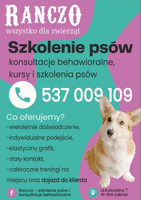 Behawiorysta, zoopsycholog, trener psów