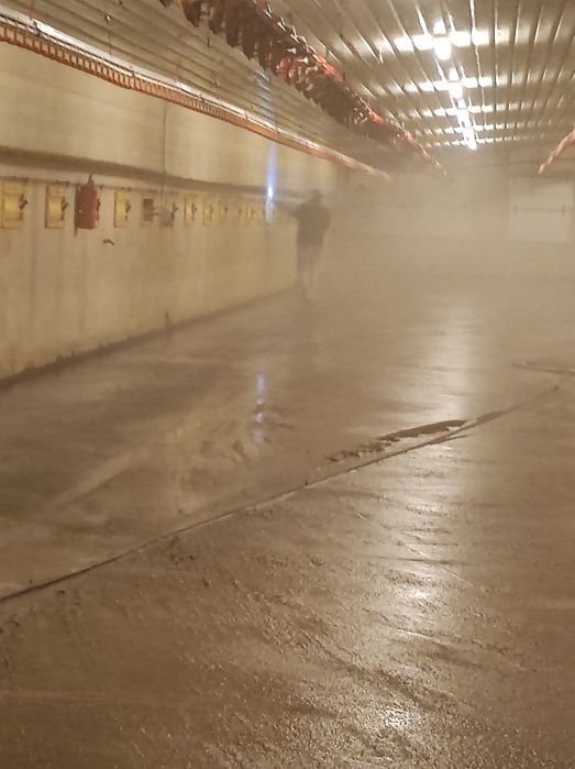 Mycie ferm drobiu pełna obsługa Kujawskie Centrum DDD