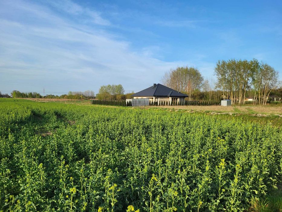 BEZPOŚREDNIO Działki budowlane Kampinos od 1043 do 1211 m² | - Widok 2