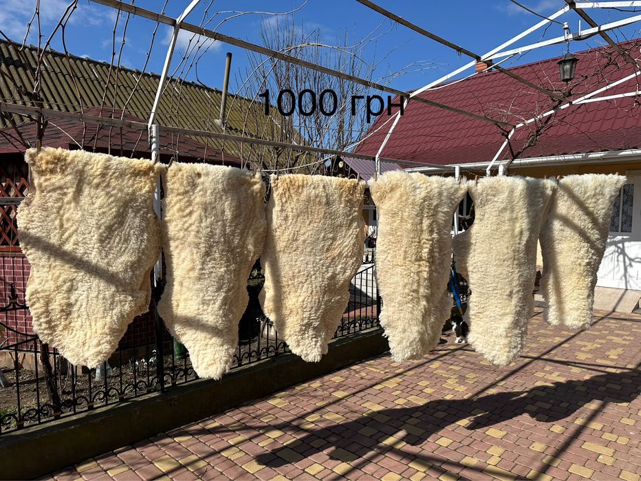 Овечі шкурки натуральні