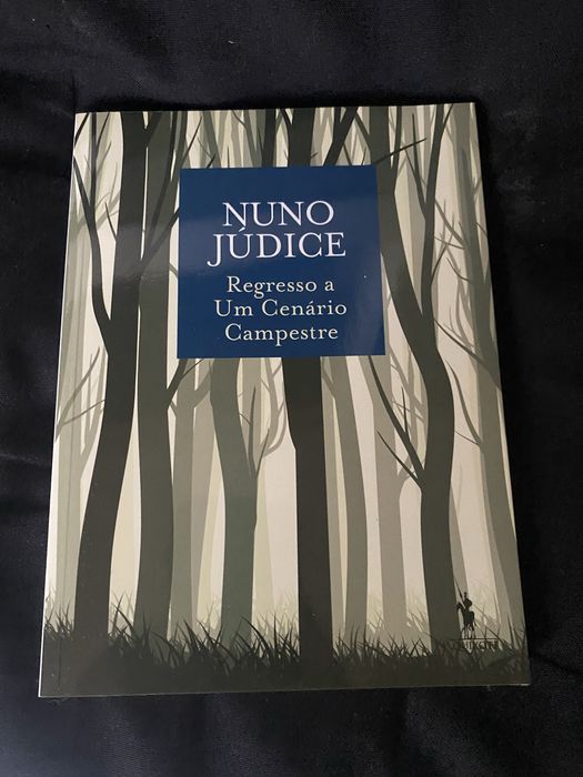 Livro Poesia de Nuno Júdice “Regresso a um Cenário Campestre”