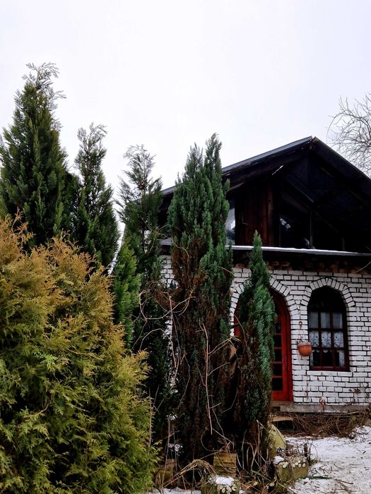 Dzis promocja 51 tysDziałka rekreacyjn RODO Katowice Giszowiec