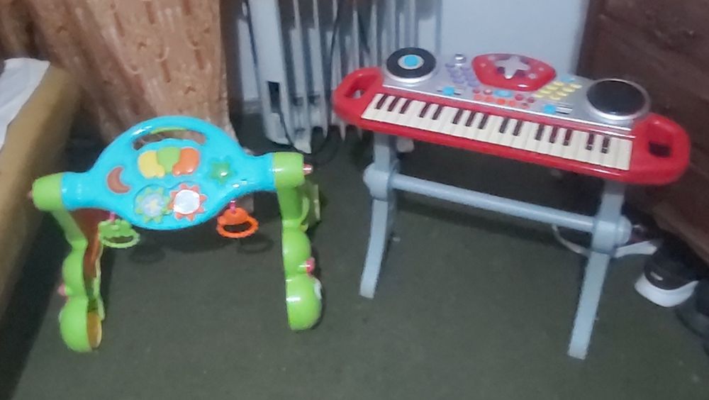 Orgão e andarilho eléctricos