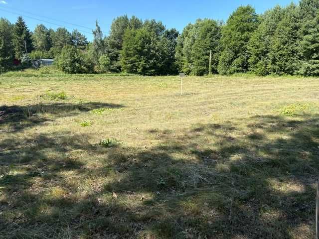 Działka budowlana Arciechów 6500 m2