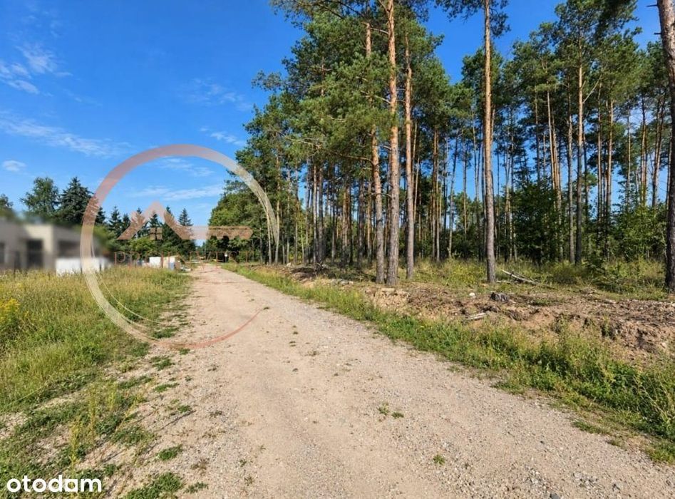 Pozwolenie na budowę, Kruszyn Krajeński, w lesieWz - Widok 3