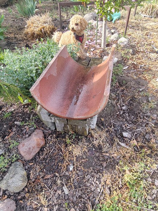 Koryto ceramiczne Bolesławiec, karmidło, żłób