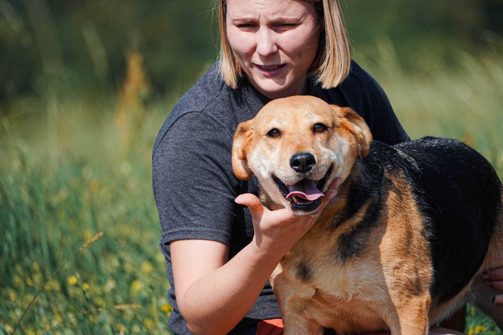 Helcia - cudowna sunia