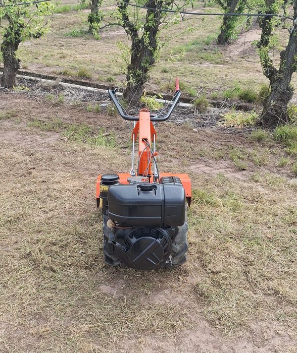 Motocultivador benassi