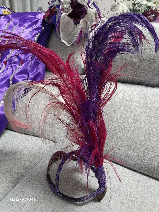 Fantasia de carnaval com teara com lindas plumas lindíssima carnaval