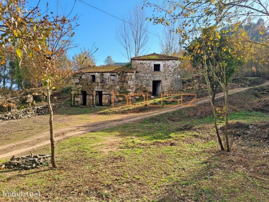 Quinta com Ribeiro e casa para restaurar - Terreno de cultivo