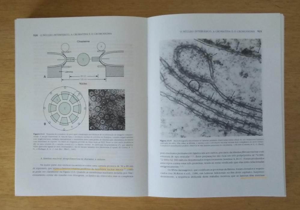 Biologia Celular e Molecular