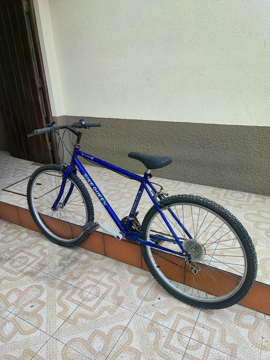 Bicicleta estilo vintege (Bike Queen, Flecha)