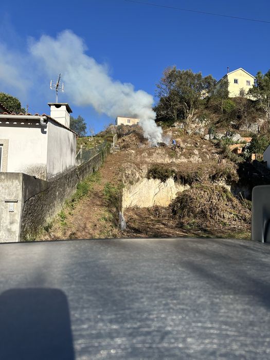 Limpeza de terrenos e jardinagens