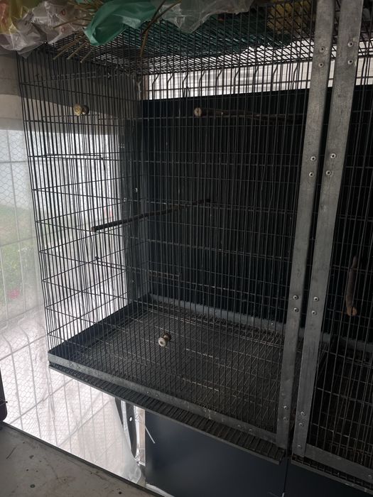 Voadeira para Aves