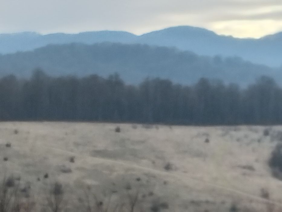 Продаю земельну ділянку  на березі річки  Латорица  у Свалява