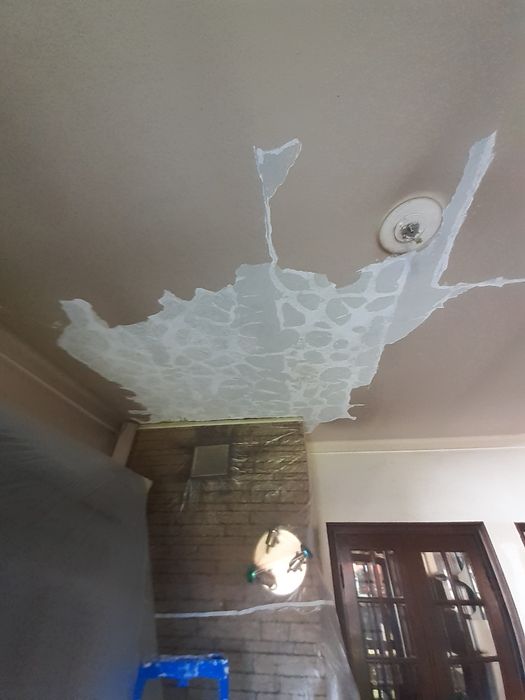 Tetos, paredes pladur. Pintura geral.