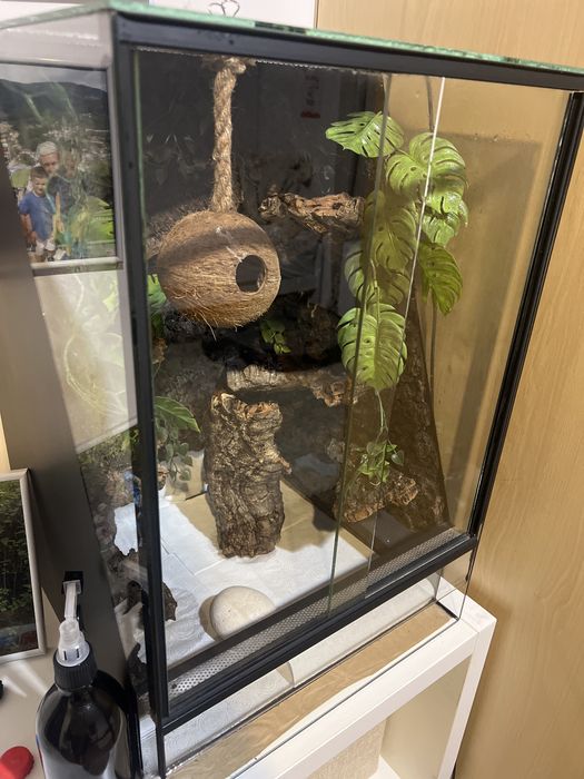 Terarium 60 x 40 plus male na swietszcze