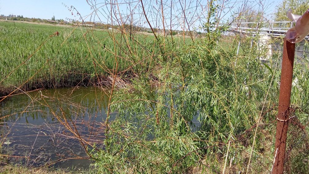 Продаж будинків Нерухомість Будинки
