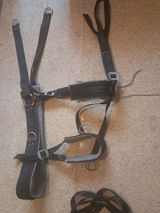 Parciane szory na kuca