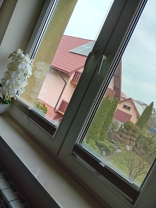 Okna po rozbiórce