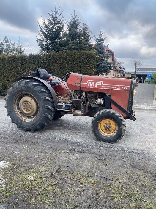 Massey Ferguson MF 275 4cyl 70KM sadowniczy, 4502 ursus, 255,135,247