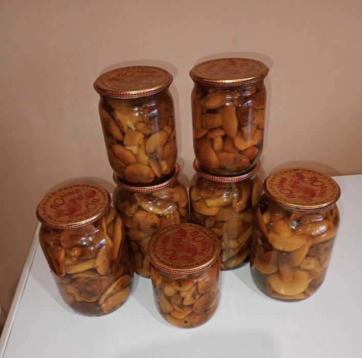 Мариновані гриби польські