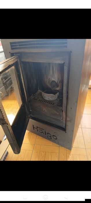 Salamandra eléctrica