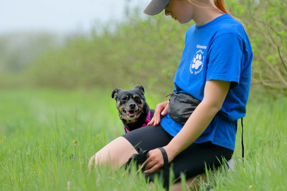 Malutka sunia Jessie szuka domu